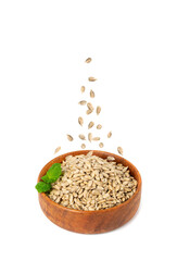 Peeled Sunflower Seeds in Air Isolated, Raw Sunflower Kernels Fall in Pile