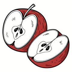 Vector art of fresh red apple and a half, vector illustration