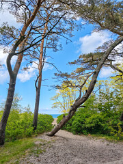 A beach with a path leading to the water on Baltic sea in Kaliningrad Russia