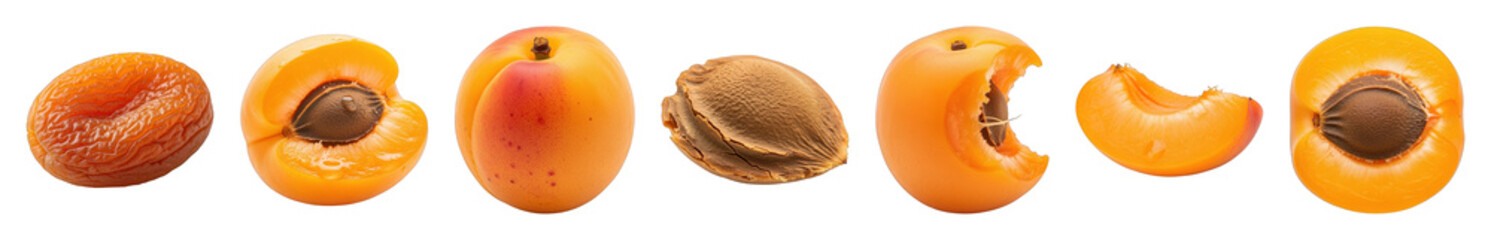 Apricot set including whole, dried, halved, pit, bitten, and sliced stages isolated. Healthy food and fruit collection.