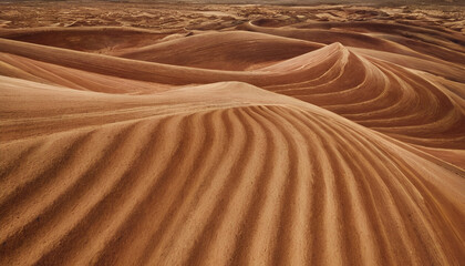 sand dunes in the desert