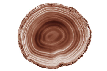 A painted brown agate slice with white veins on a white background is perfect for jewelry. Its natural layers enhance the beauty of handmade accessories.