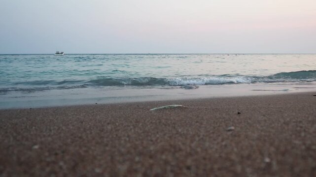 Gentle waves lap against the golden sands of Canj, Montenegro, as the morning sun rises over the tranquil Adriatic Sea, creating a peaceful atmosphere for beach lovers. Mediterranean