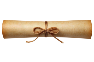 Rolled parchment diploma with smooth edges and decorative ribbon knot, simple and elegant, isolated on transparent background.
