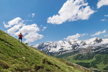 Obraz premium Trekking sulle Alpi Svizzere