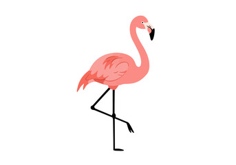 Pink Flamingo Illustration Standing on One Leg.