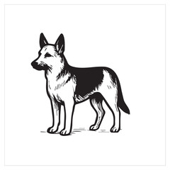 A purebred German Shepherd dog vector illustration
