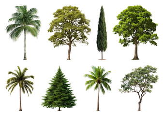 PNG Diverse trees collection illustration, element set on transparent background