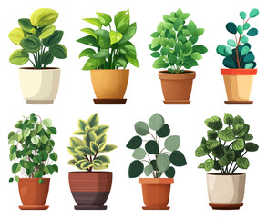 Obraz premium PNG Vibrant potted plants illustration, element set on transparent background