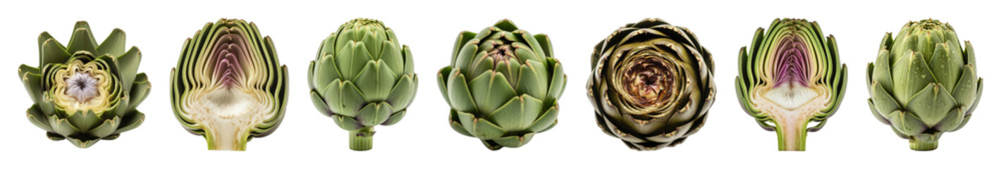 Obraz premium Green artichoke set including whole, halved, and fresh wet forms isolated. Healthy vegetable for cooking, food preparation, and diet.