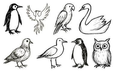 Obraz premium PNG Hand-drawn bird sketches collection, element set on transparent background