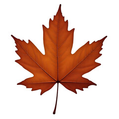 brown autumn maple leaf on transparent background