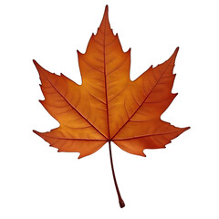 Obraz premium brown autumn maple leaf on transparent background