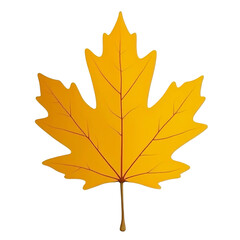 Obraz premium orange autumn maple leaf on transparent background