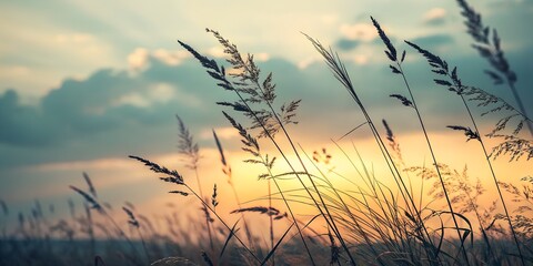 Obraz premium Pastel Grass Silhouette