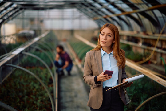 Quality control inspector using cell phone in a greenhouse.