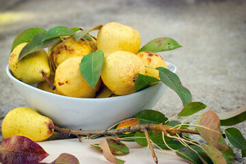 Pears in a bowl, sweet organic pears