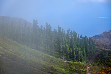 Scenic view of the laurel forest and hills of Garajonay National Park from trail to Alto de Garajonay, La Gomera, Canary Islands, Spain, Europe.
