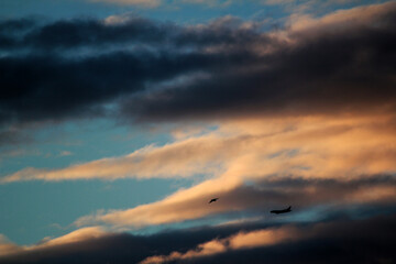 Silhouetted birds and an airplane soar through a dramatic, colorful sky