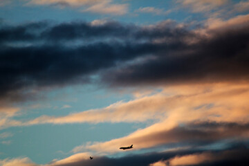Silhouetted birds and an airplane soar through a dramatic, colorful sky
