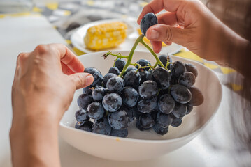 Closeup photo of woman eating ripe sweet blue grapes. Woman's hands holding grapes over bowl, casual home eating with corn in background