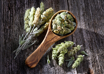 Greek traditional herbal tea. Natural greek herbs on wooden background
