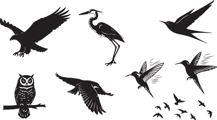 Diverse Bird Silhouettes A Collection of Avian Forms in Flight and Perched Representing Nature's Beauty and Freedom