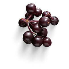 bunch of red currants