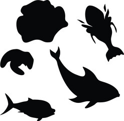 Silhouette of Marine Life a Symphony of Shadows in an Underwater Ecosystem Depicting the Wonders of Oceanic Biodiversity