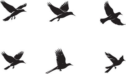 Silhouetted Birds in Flight A Dynamic Vector Illustration of Avian Movement and Graceful Winged Creatures Against a White Background