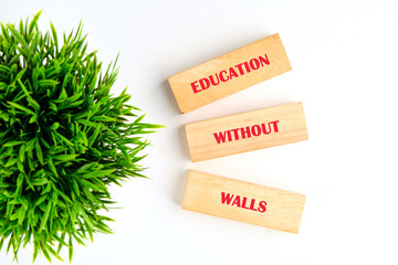 Education concept. EDUCATION WITHOUT WALLS words made of wooden blocks on white background with green plant, top view