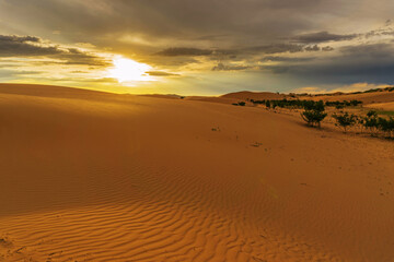 Landscape in desert at sunset