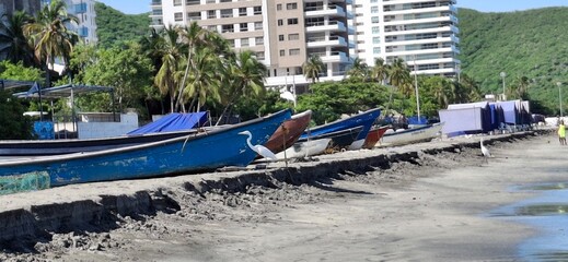 Playa tropical, mar cristalino y sol radiante. Vacaciones Santa Marta Colombia