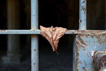 Close-up of a dry leaf trapped in a rusty metal gate, symbolizing fragility, passage of time and...