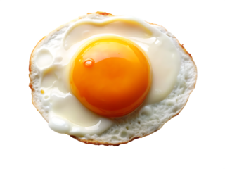 Sunny side up egg with bright orange yolk and white albumen isolated on a transparent background fried
