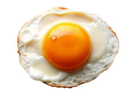 Sunny side up egg with bright orange yolk and white albumen isolated on a transparent background fried