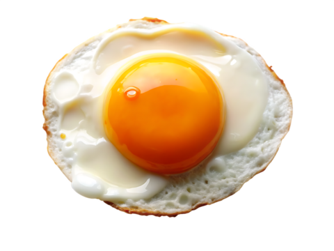 Sunny side up egg with bright orange yolk and white albumen isolated on a transparent background fried