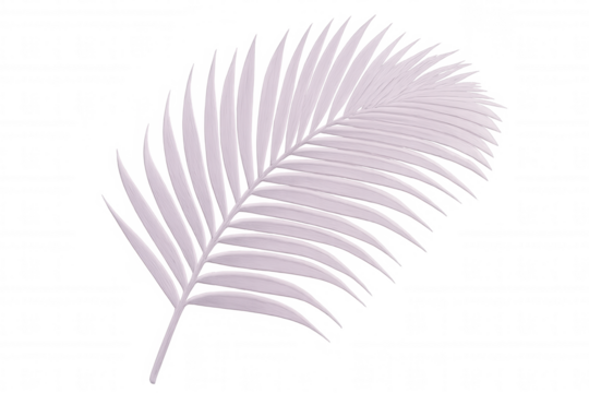 Pastel-colored palm leaf isolated on a transparent background, perfect for summer or tropical-themed projects