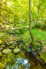 Stream landscape in the Haut Languedoc region of southern France. Small waterfalls and water running through the forests of Hérault.
