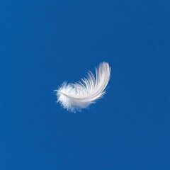 Delicate White Feather Floating Against a Clear Blue Sky Background