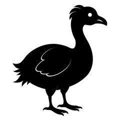 Simple Dodo Vector Illustration in Black Silhouette © Motin