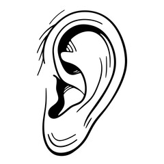 vector illustration of a woman face
