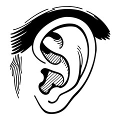 vector illustration of human head