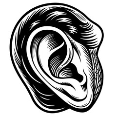 vector ear