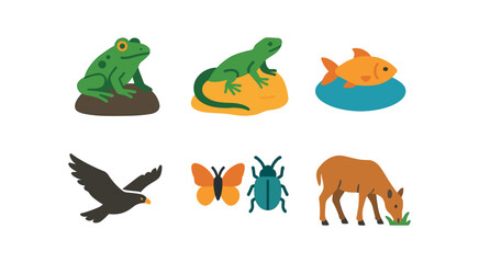 vector colorful flat filled icons gully (wildlife): frog on rock lizard sunning fish in pool hawk overhead insects grazing animal.