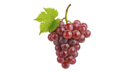 Isolated Bunch of Grapes
