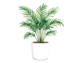 Fototapeta premium Watercolor illustration of a houseplant