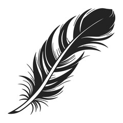 Obraz premium Phoenix feather glowing under frozen night silhouette