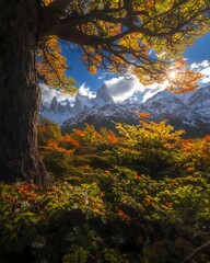 Autumn forest in the mountains