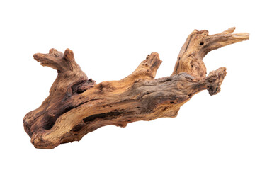 Driftwood Log on Transparent Background